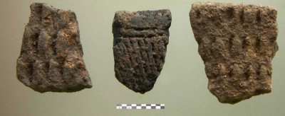 Figure 4. Sherds with impressed decoration.